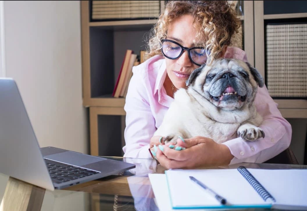 A woman with curly hair and glasses hugs a pug at a glass desk beside an open laptop and a spiral notebook.