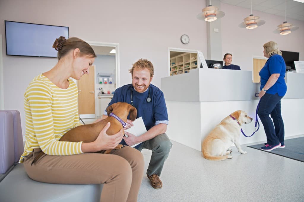 A veterinarian kneels beside a smiling client and a small dog in a bright clinic waiting room, with the reception desk visible behind them.