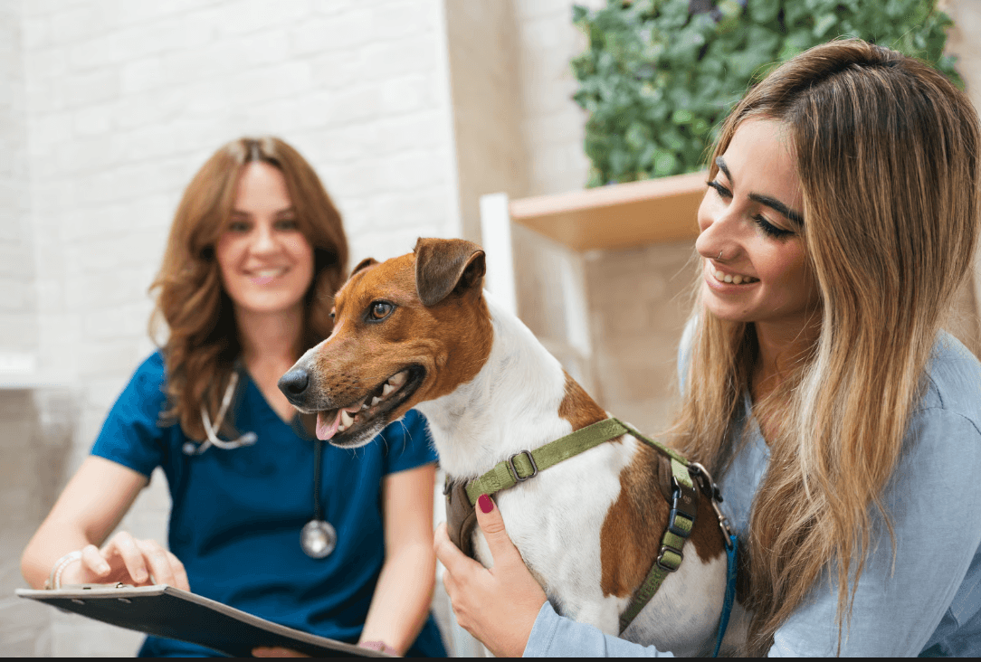 A veterinarian in blue scrubs reads from a clipboard while a woman and her daughter steady a beagle on a steel exam table.