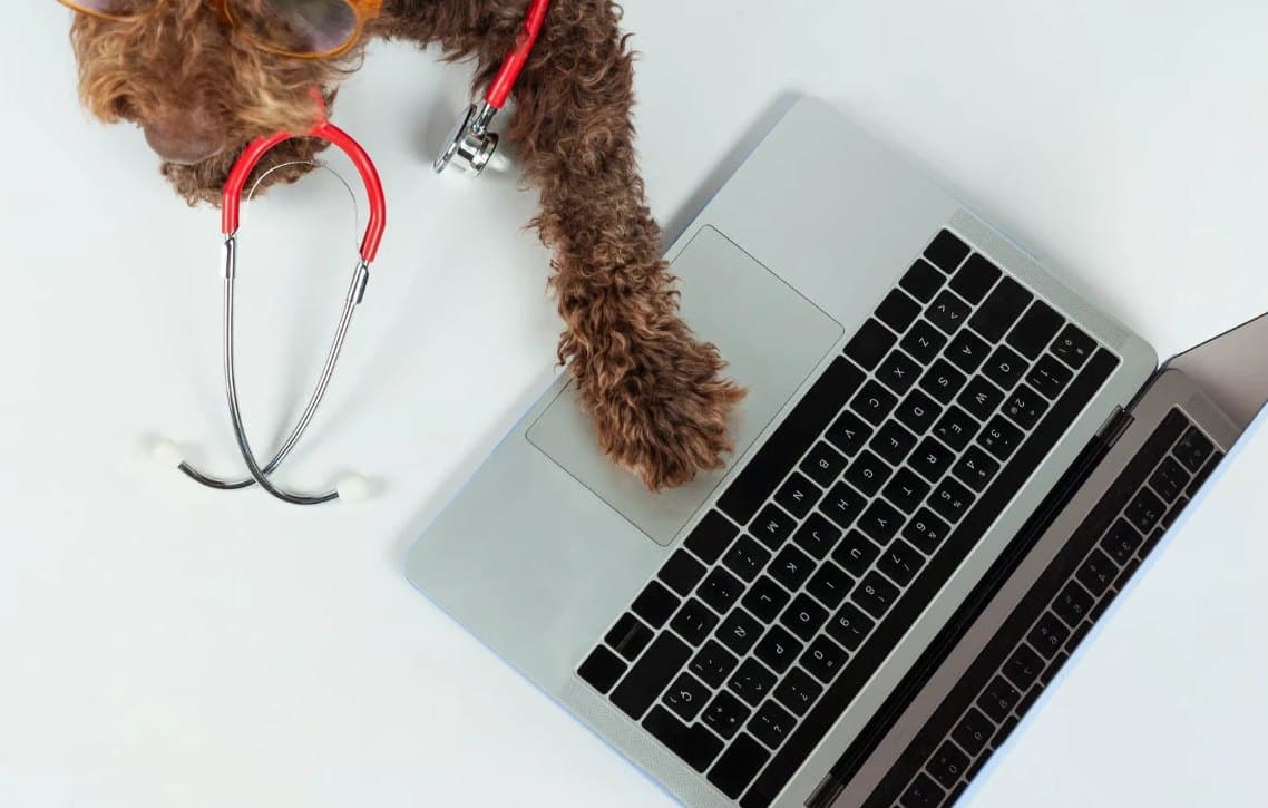 Seen from above, a curly brown dog wearing a red stethoscope rests one paw on the trackpad of an open silver laptop.