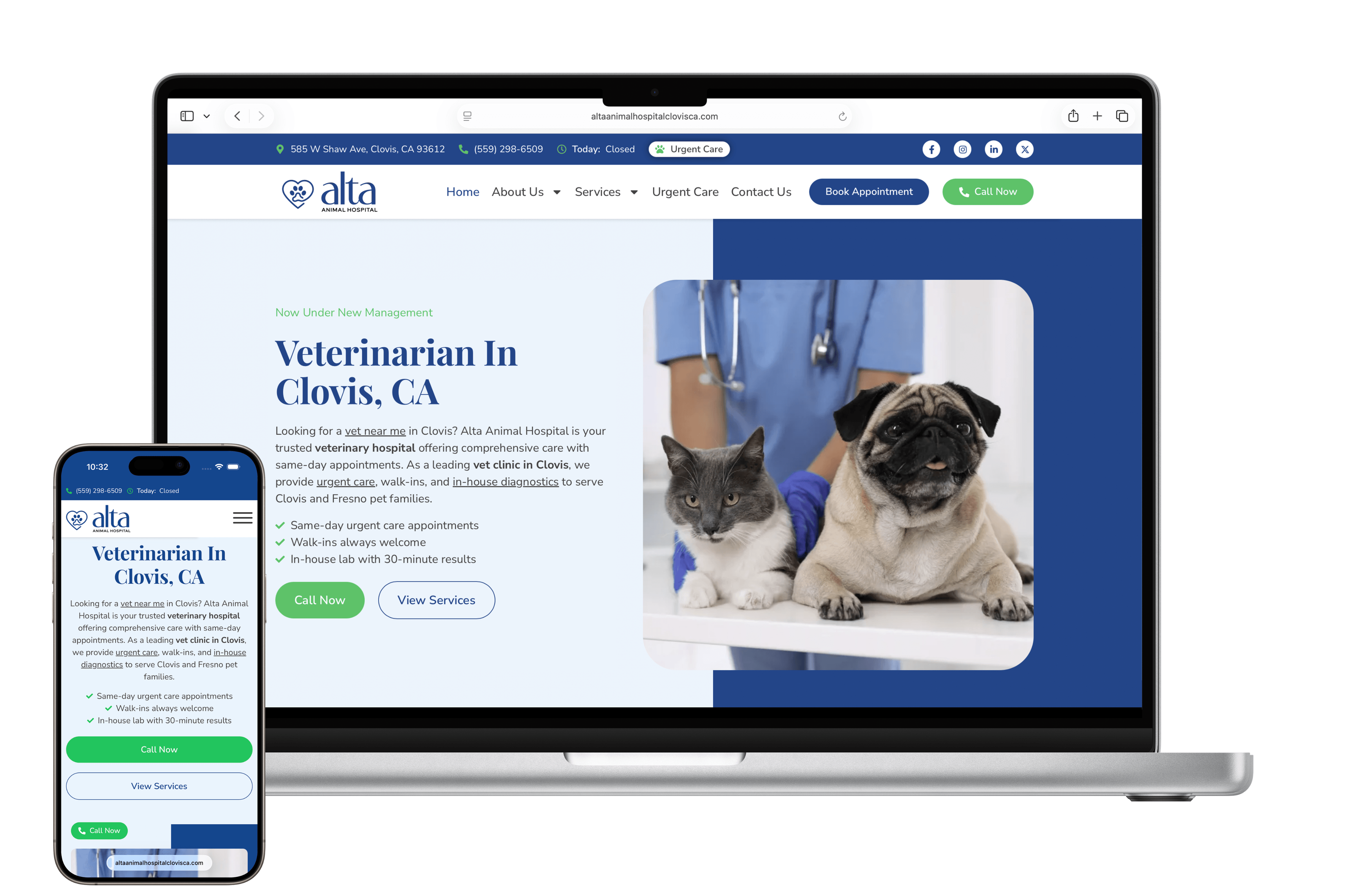 Alta Animal Hospital website mockup